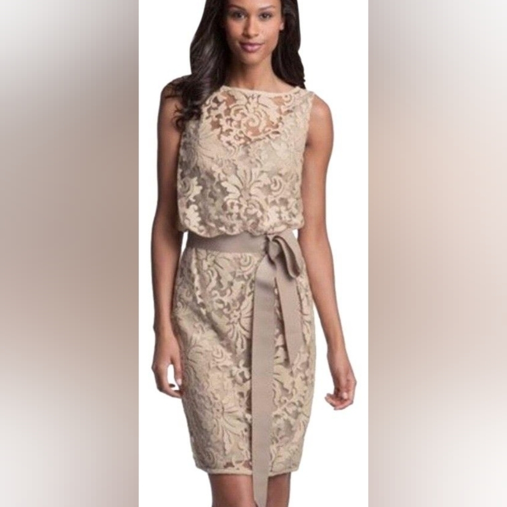 NWT Tadashi Shoji Blousen Lace Belted Bow Dress in Sand Size 4